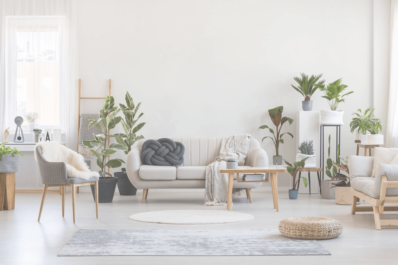 Bright living room with windows and plants